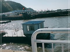 -大鹿岛