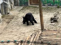 -黔灵山公园