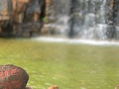 -海南热带野生动植物园