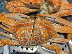 -越百海海鲜蒸锅(乐山店)