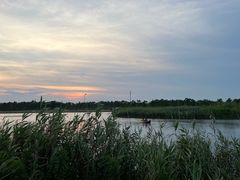 -春花秋色城市公园