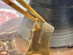 -马记伊源斋涮肉·清真菜(百子湾店)