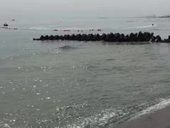 -日照灯塔风景区