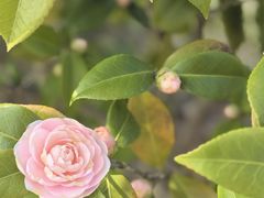 -江南大学(蠡湖校区)