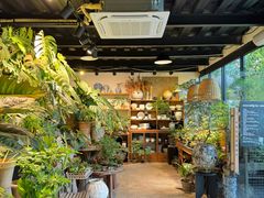 -自由生长植物工作室(深港花卉中心店)