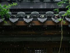 -南京市民俗博物馆(甘熙故居)