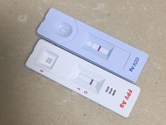 -宠颐生贝利健动物医院(谢家湾分院)
