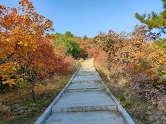 -北京西山国家森林公园