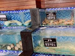 水产区-浩运·海鲜青岛菜·海胆水饺(石老人店)