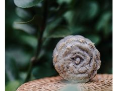 -夏至烘焙(上悦城店)