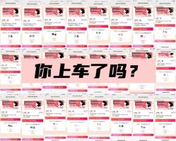 -玛莲朵·海菲秀冰珀科