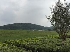 -苏州香山国际大酒店