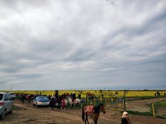 -青海湖国家重点风景名胜区