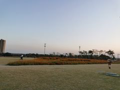 -映月湖中央公园