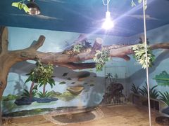 -石家庄市动物园