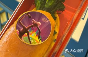 Carrot Sandwich