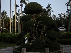 -蔡家宅