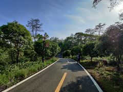 -潜山国家森林公园