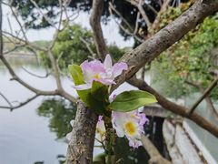 -东山湖公园