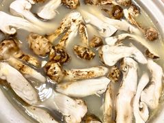 -龙悦湾酒家·八阵鱼生·渔人码头店