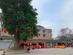 -悦城龙母祖庙