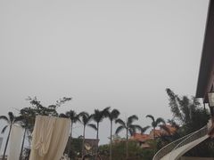 -外沙疍家棚酒楼