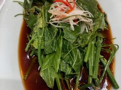 炝拌丝瓜尖-北平盛世·新京菜·北京烤鸭(劲松·双井店)