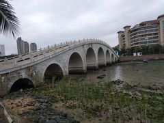 -万绿园