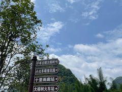 -广悦华阳朔河畔度假酒店(十里画廊遇龙河店)