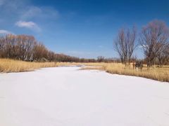 -野鸭湖国家湿地公园