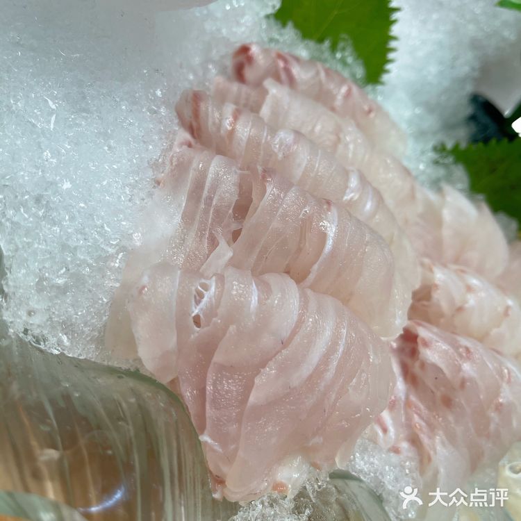 🐟无鱼生不夏天#