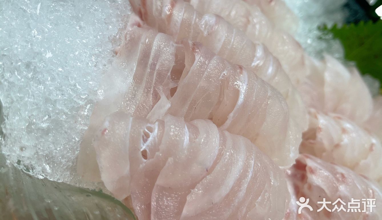 🐟无鱼生不夏天#