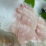 🐟无鱼生不夏天#