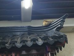 -协和菜馆(凤凰街店)