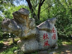 -北京麋鹿生态实验中心