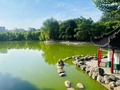 -莲湖公园
