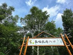 -汤旺河林海奇石景区