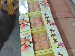 -南汇水蜜桃采摘(大团店)