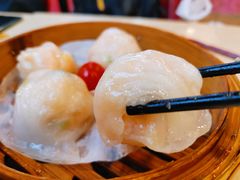 金牌虾饺皇-点都德(北京路贰店)