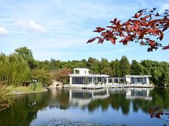 -上海共青森林公园