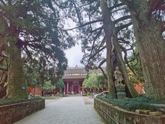 -雪峰寺