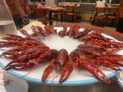 -杨氏青龙虾·羊蝎子(珠江路店)