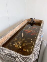 -蘭club婚礼策划
