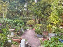 -谷咖啡·鲜花绿植花园餐厅