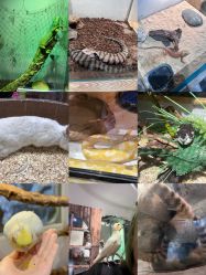 -Zoolung Zoolung动物主题公园(海信广场店)