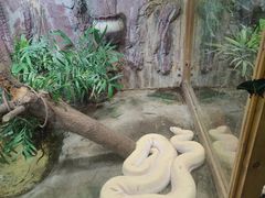 -上海大自然野生昆虫馆