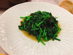 -喜鼎海胆水饺(平安金融中心店)