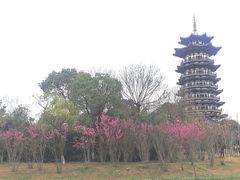 -洋湖国家湿地公园