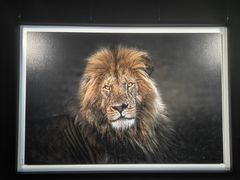 -罗红摄影艺术馆