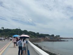 -小麦岛公园